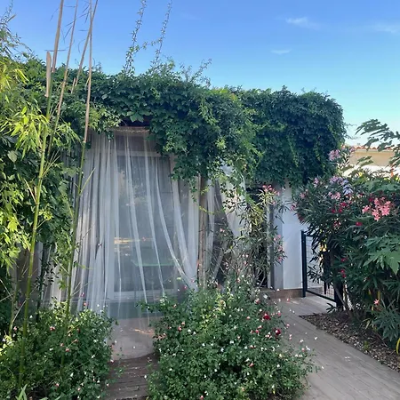 Belem - Piscine Chauffee - Mas Saint Louis Bed and Breakfast Aigues-Mortes