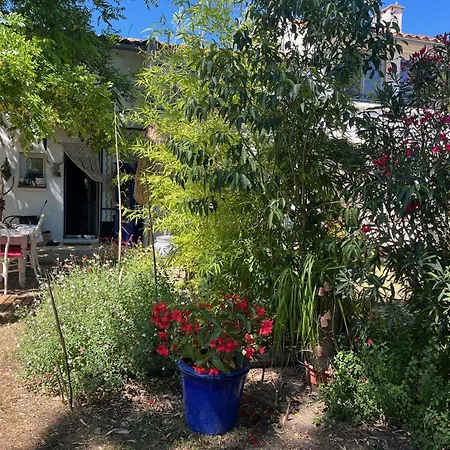 Bed and Breakfast Belem - Piscine Chauffee - Mas Saint Louis 4*