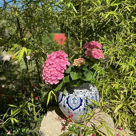 Bed and breakfast Belem - Mas Saint Louis - Piscine Chauffee Aigues-Mortes