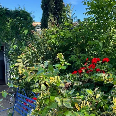 Belem - Mas Saint Louis - Piscine Chauffee Bed and breakfast