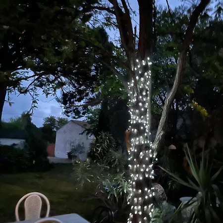 Belem - Mas Saint Louis - Piscine Chauffee Bed and breakfast Aigues-Mortes