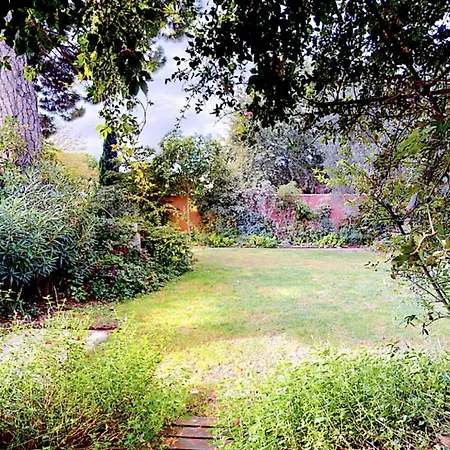 Belem - Piscine Chauffée - Mas Saint Louis Bed & Breakfast