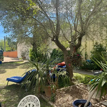Bed & Breakfast Belem - Piscine Chauffee - Mas Saint Louis