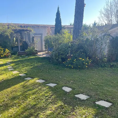 Belem - Piscine Chauffee - Mas Saint Louis Bed & Breakfast 4*