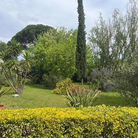 Belem - Piscine Chauffee - Mas Saint Louis 4* Aigues-Mortes