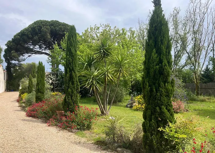 Frühstückspension Belem - Piscine Chauffee - Mas Saint Louis Aigues-Mortes